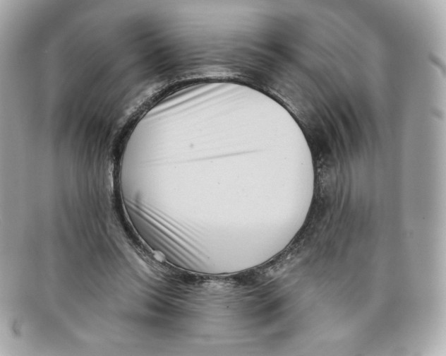 X0000097950350200804211042