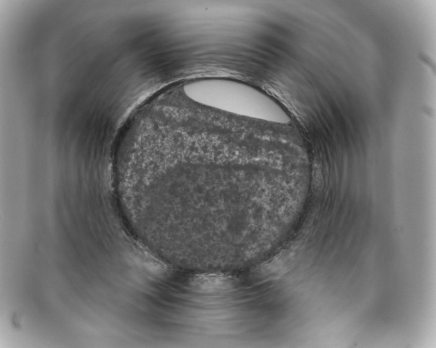 X0000097950351200804211042
