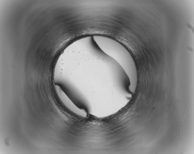 X0000097950352200804211042