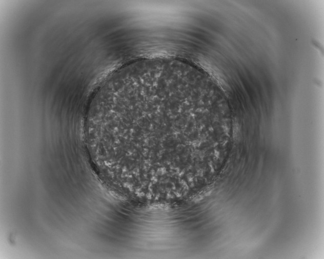X0000097950353200804211042