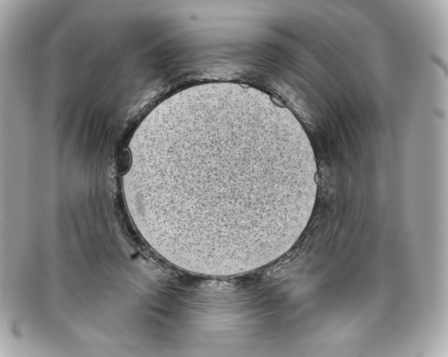 X0000097950354200804211042