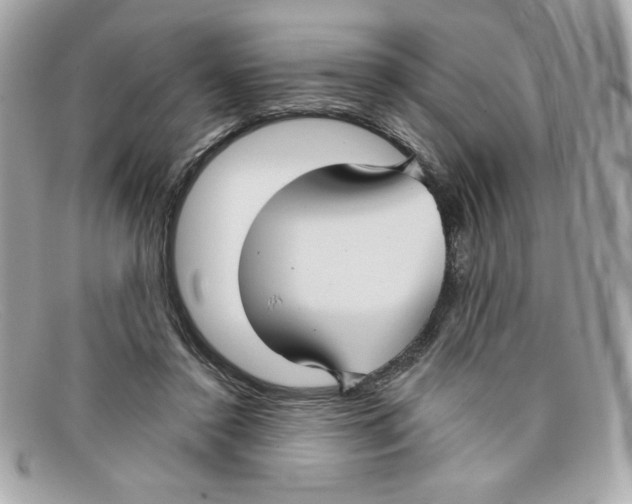 X0000097950356200804211042
