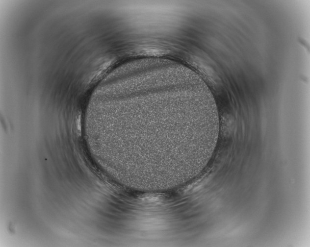 X0000097950358200804211042