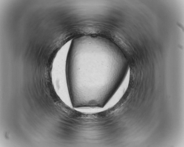 X0000097950359200804211042