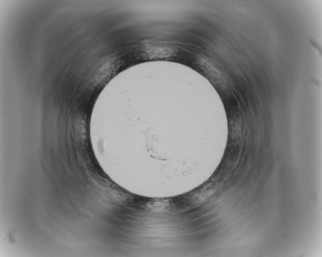 X0000097950362200804211042