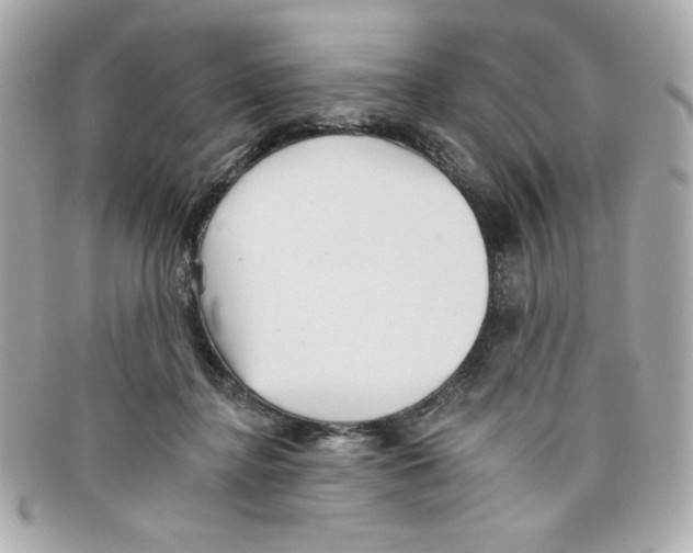 X0000097950364200804211042