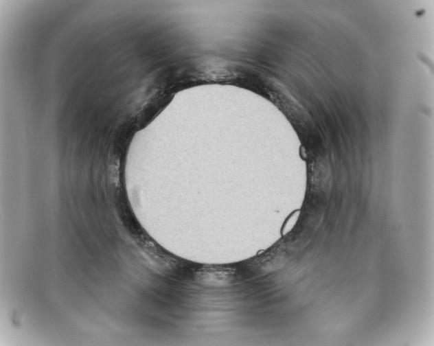 X0000097950368200804211042