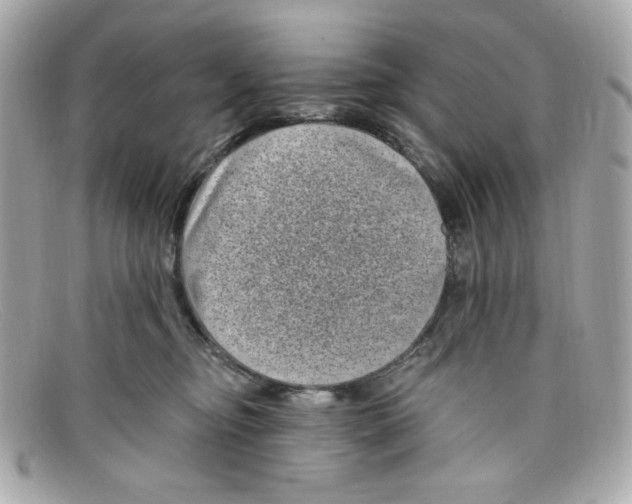 X0000097950374200804211042