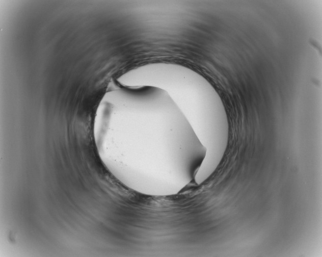 X0000097950376200804211042