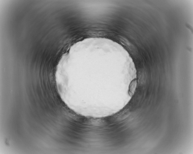 X0000097950377200804211042