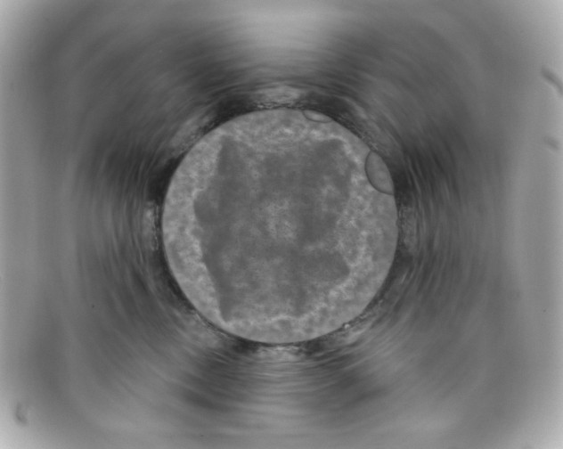 X0000097950378200804211042