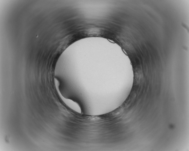 X0000097950379200804211042