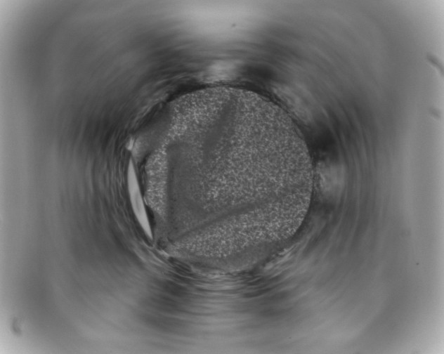 X0000097950380200804211042