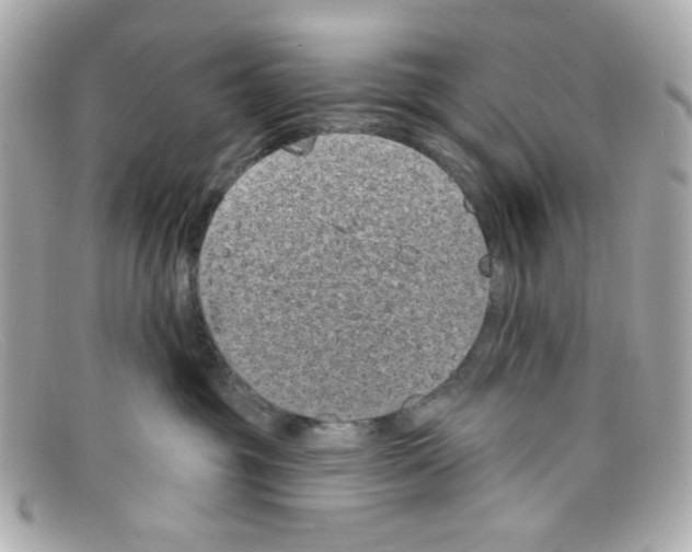 X0000097950381200804211042