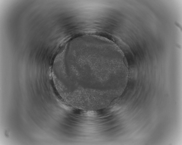 X0000097950383200804211042