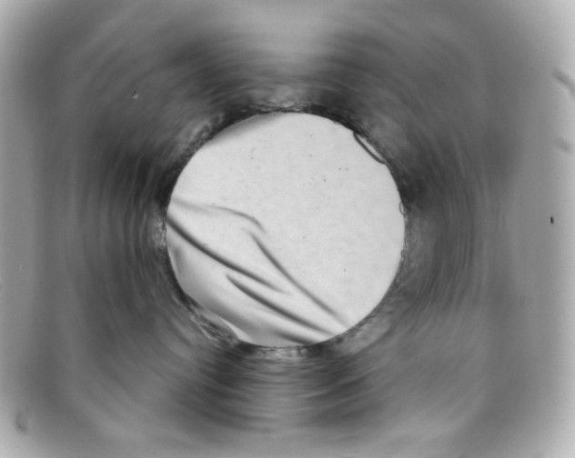X0000097950384200804211043