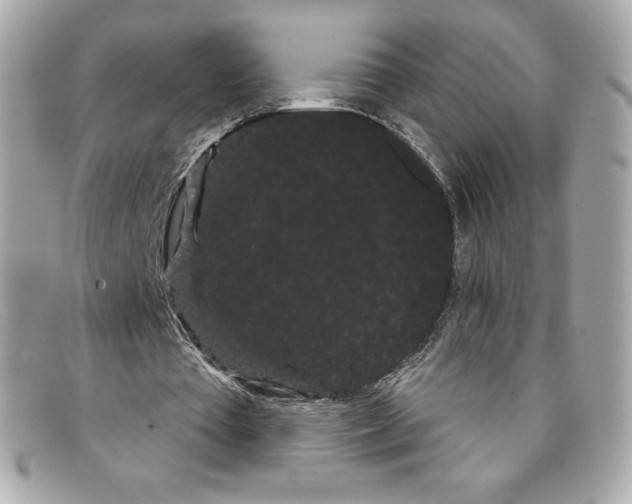 X0000097950385200804211042
