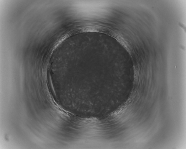X0000097950386200804211042