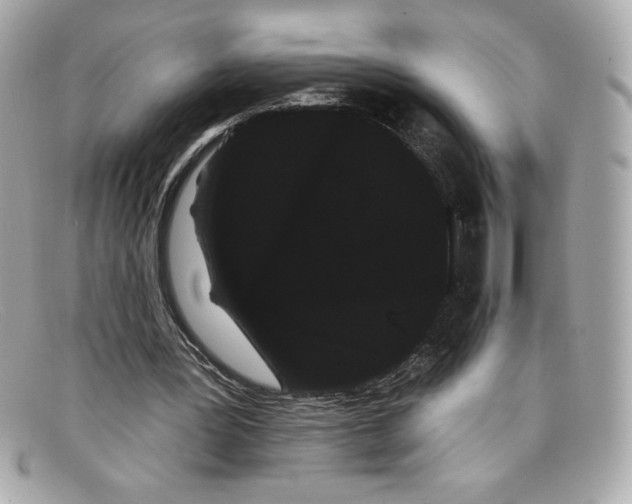 X0000097950387200804211042