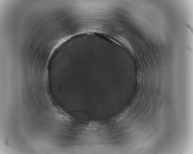 X0000097950388200804211042