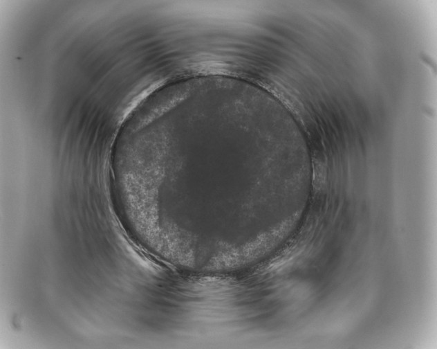 X0000097950390200804211042