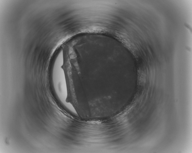 X0000097950392200804211042