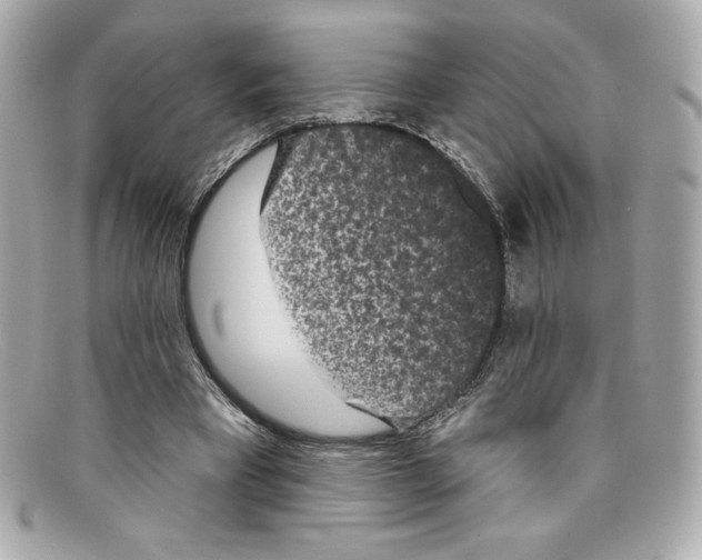 X0000097950393200804211042