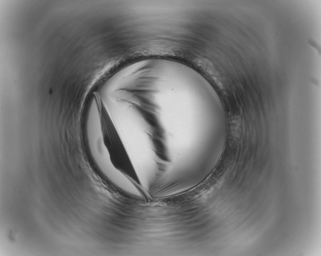 X0000097950395200804211042