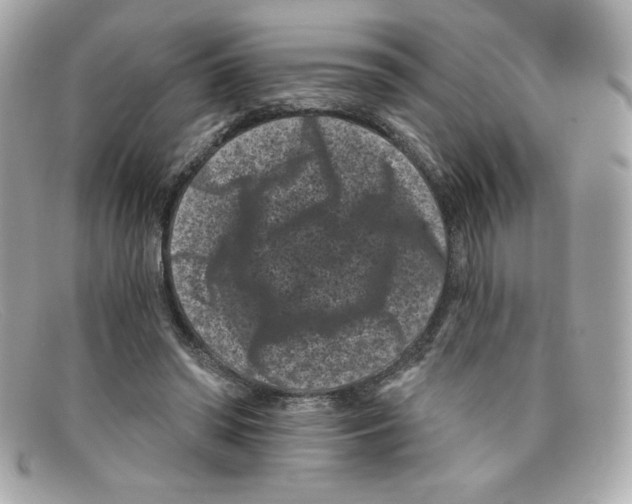 X0000097950398200804211041
