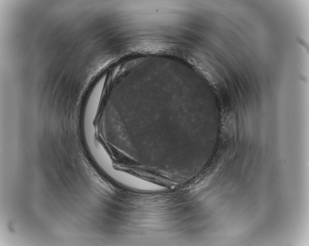 X0000097950399200804211041
