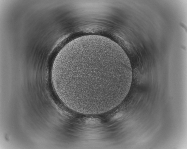 X0000097950400200804211041