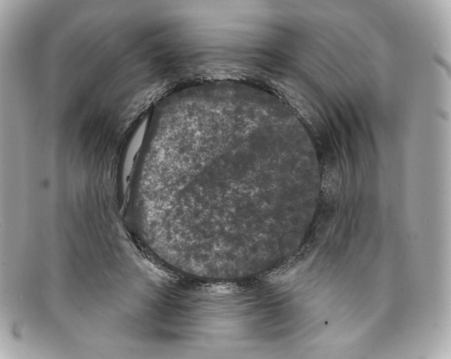 X0000097950402200804211041