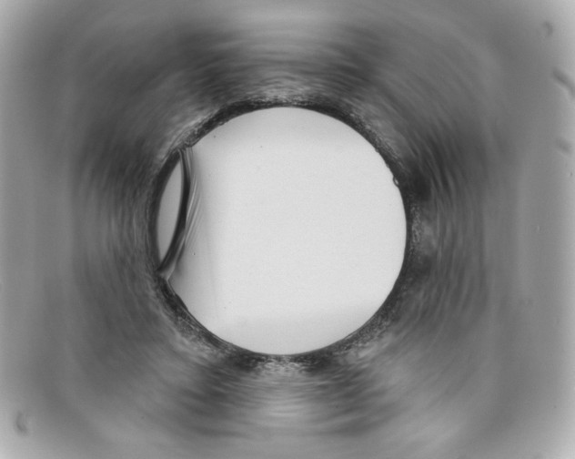X0000097950403200804211041