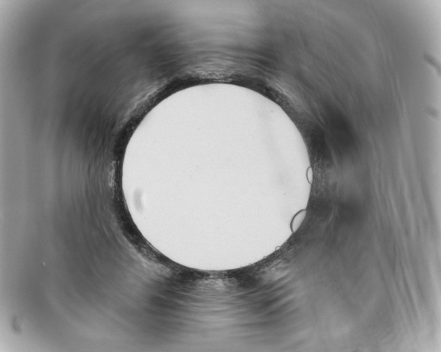 X0000097950404200804211041