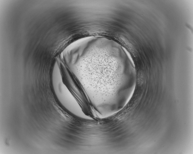 X0000097950405200804211041