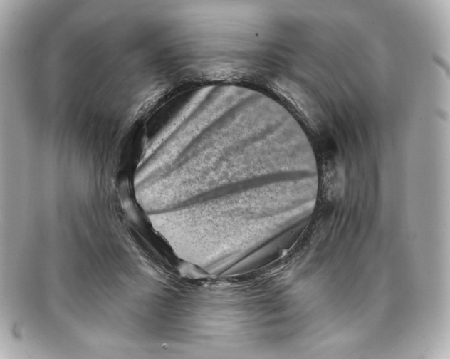 X0000097950407200804211041