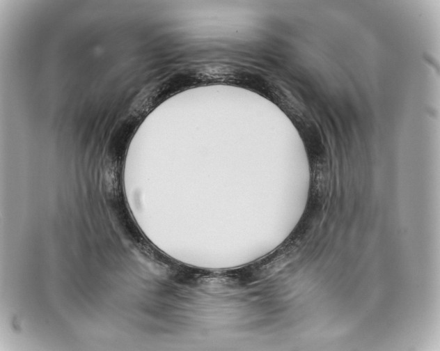 X0000097950408200804211041