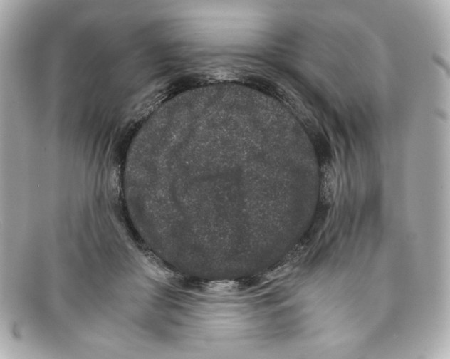 X0000097950410200804211041