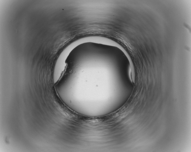 X0000097950411200804211041