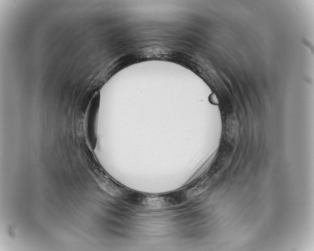 X0000097950413200804211041