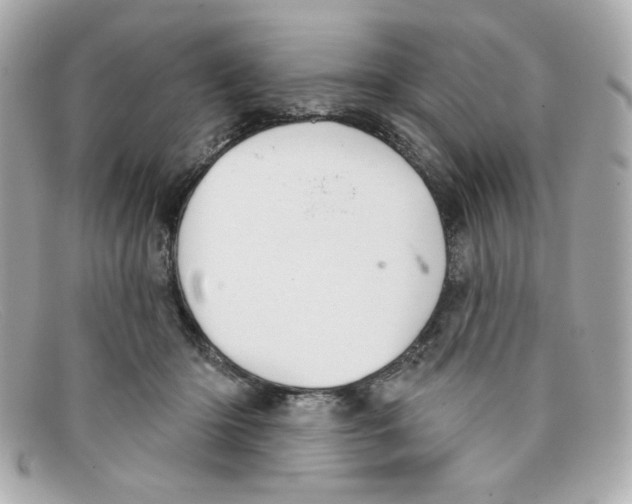 X0000097950414200804211041
