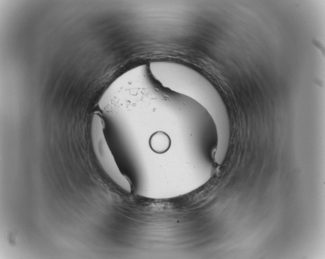 X0000097950415200804211041