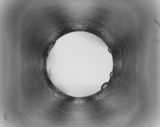 X0000097950416200804211041