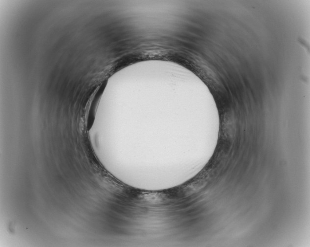 X0000097950417200804211041
