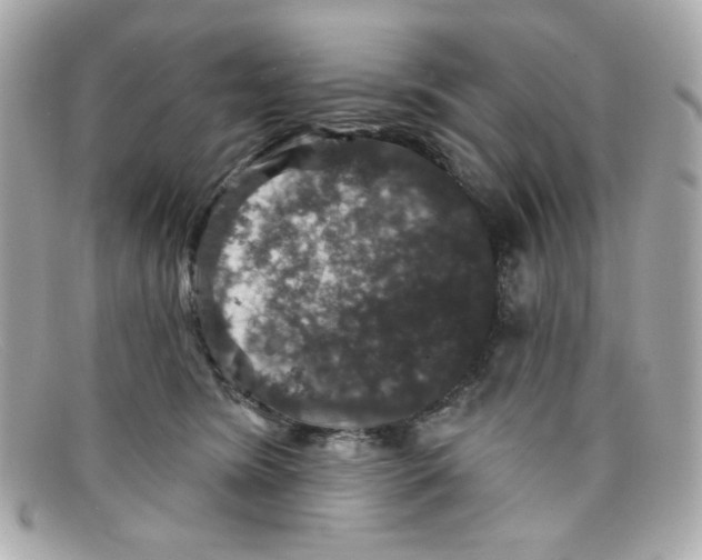 X0000097950420200804211041