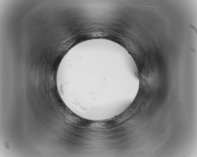 X0000097950422200804211041