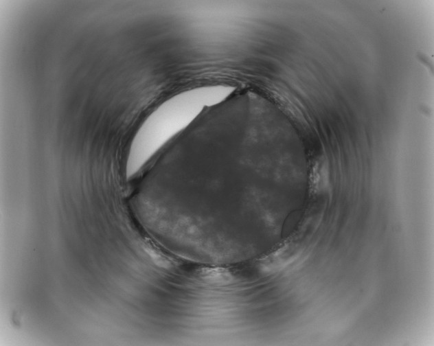 X0000097950424200804211041