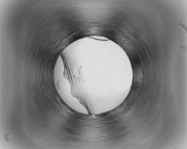 X0000097950425200804211041