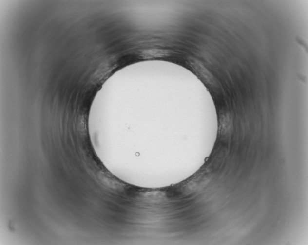X0000097950426200804211041