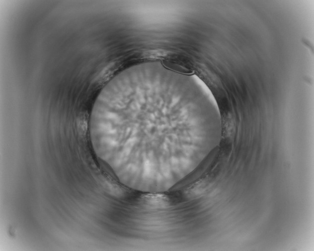 X0000097950427200804211041